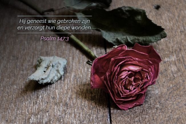 Hij geneest wie gebroken zijn en verzorgt hun diepe wonden.